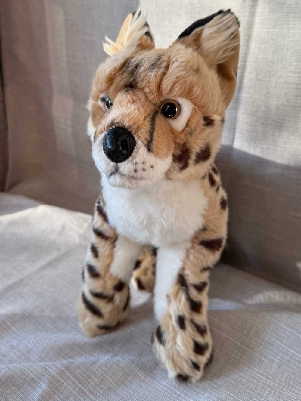 2017 SOS Save Our Space Serval Plush Rare Discounted – Collectible Big Cat - Picture 2 of 16